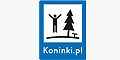 Koninki